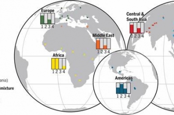 DNA分析揭示非洲古人类种群的交融程度可能比人们认为的要高得多