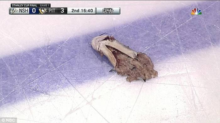美国男子观看冰球比赛史丹利杯决赛时将一条死掉的鲶鱼往冰球场上丢