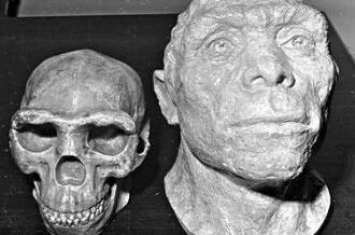 中国最重大的考古发现，周口店发现70万前猿人头盖骨/见证石器时代