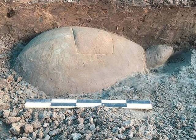 柬埔寨吴哥遗址发现半埋在地下的千年巨型石龟像