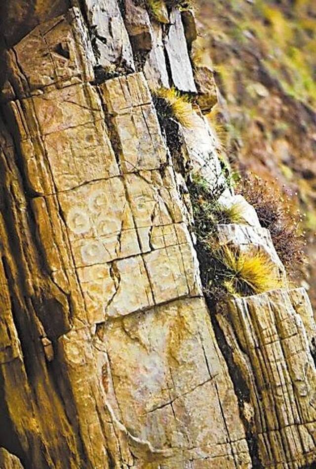 甘肃黄河沿线的岩画成为黄河文化的历史印记