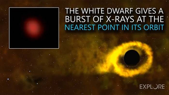 银河系GSN 069黑洞将把一颗恒星变成行星