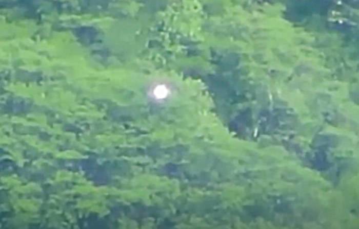 UFO？2017年墨西哥瓜达拉哈拉森林中出现的奇怪发光球体