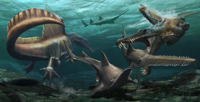 新研究认为巨大的棘龙比先前认知的更像“水中蛟龙”