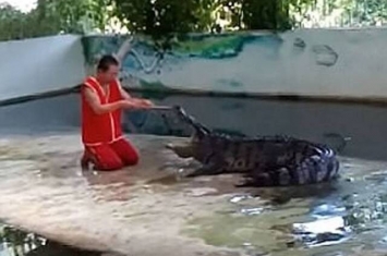 泰国驯兽员表演把头放鳄鱼嘴中 怎知鳄鱼突然合起嘴巴