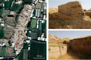 中亚乌兹别克斯坦卡尔查延遗址首次发现古栽培水稻