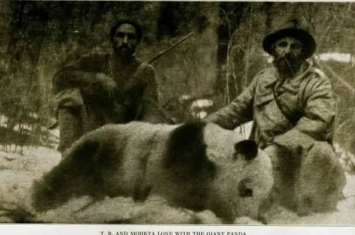 大熊猫科学发现150周年 法国传教士在四川省雅安市邓池沟村猎杀“大猫熊”