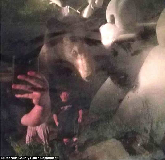 美国维珍尼亚州罗阿诺克民屋外汽车前座竟离奇困着一只野生小熊