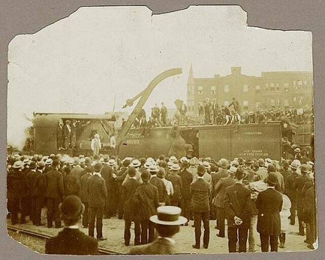 “凶手玛莉”绞刑：1916年美国马戏团大象因长期受虐失控踩死训兽师被吊死