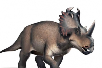 美国古生物学家为新恐龙命名Stellasaurus 纪念英国音乐家大卫·鲍伊的一首歌