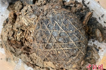 重庆首次发现距今2200多年的巴文化竹制品