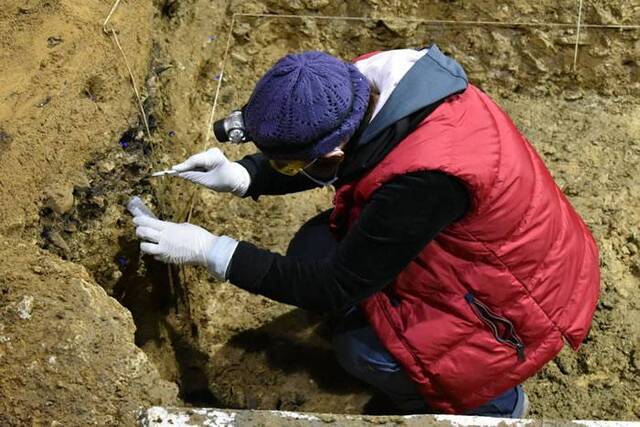 保加利亚巴柯基罗洞穴发现欧洲大陆最古老现代人遗骸 智人在4.5万年前进入欧洲
