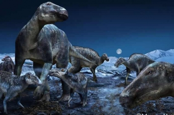 美国阿拉斯加发现的新恐龙其实是幼年的埃德蒙顿龙
