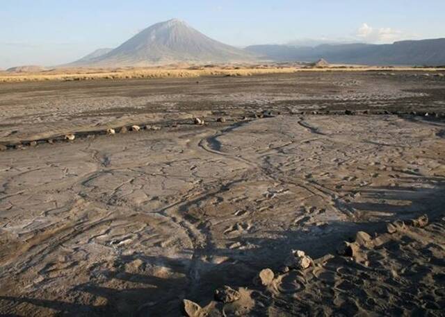 坦桑尼亚北部纳特龙湖考古遗址发现逾400个古人类足印化石 是非洲历来最大规模发现