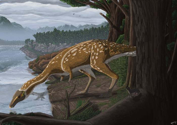 澳大利亚发现恐龙新物种：长脖子、无牙齿的霸王龙表亲“Era the Elaphrosaur”