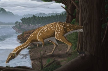 澳大利亚发现恐龙新物种：长脖子、无牙齿的霸王龙表亲“Era the Elaphrosaur”
