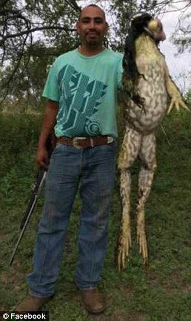 美国德州男子在树林猎杀一只巨型牛蛙 网民质疑造假
