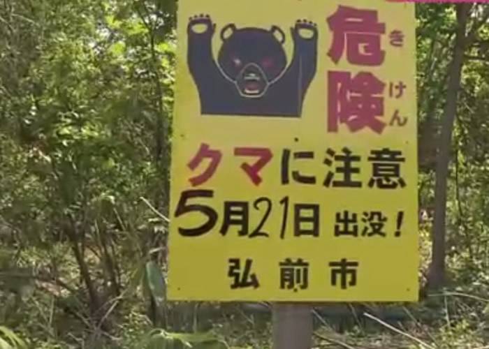 日本秋田县6旬妇人疑在山间采竹笋遭熊袭击致死