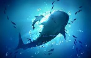 世界上最大的哺乳动物，蓝鲸长33米/重181吨（等于3000个成人体重）