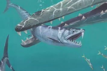 古代凤尾鱼进化成以鱼为食的捕食者 用上颚剑齿捕杀猎物