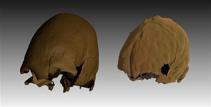 采自松花江的古人类头颅化石研究发现：中国东北渔猎人群1.1万年前就已出现世袭等级