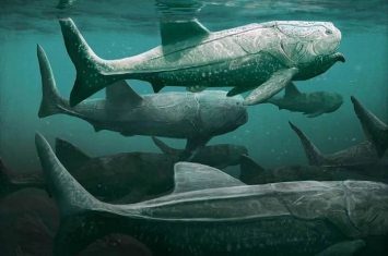 撒哈拉发现3.8亿年前史前海洋中巨大的滤食性鱼类Titanichtys