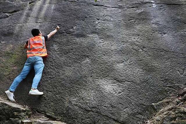 重庆歌乐山国家森林公园发现侏罗纪大型肉食恐龙足迹化石——霍氏卡岩塔足迹