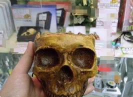 世界上最早的颅骨杯，距今15000年历史竟是用来吃脑髓的