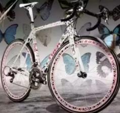 世界上最贵的自行车，蝴蝶自行车价格3200万（蝴蝶翅膀做涂层）