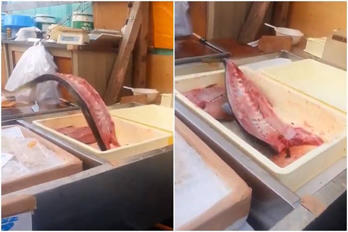 日本网友推特上贴出影片：被断头剖半的最新鲜“生鱼片”依旧活泼乱跳