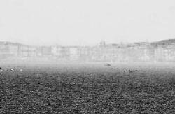 1954年爱琴海海市蜃楼事件，有人在海市蜃楼看到古代人