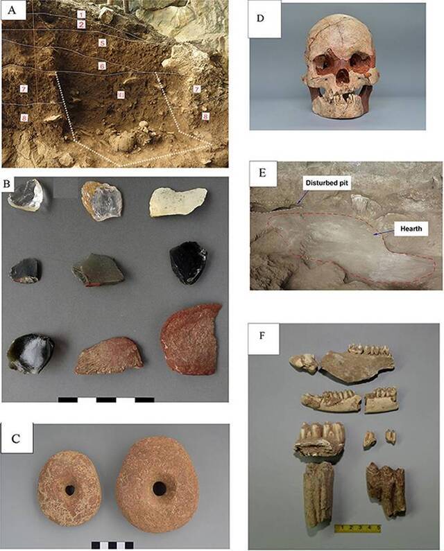 关于距今3万年前中国南方地区广西娅怀洞遗址古人类植物利用的研究成果