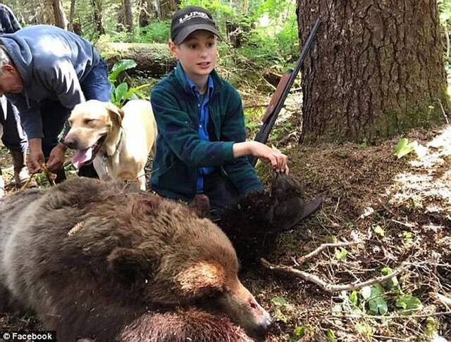 美国阿拉斯加11岁少年果断开枪击毙棕熊救家人