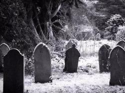 坟地管理员给孤坟扫墓，竟招致恶鬼杀身！