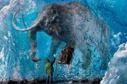 克隆猛犸象成功了吗，日本猛犸象复活计划曝光