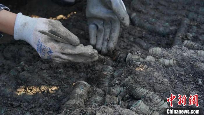 江苏建湖发现一处钱币窖藏遗存 出土钱币约1.5吨