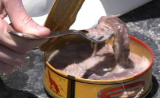世界上最臭的鱼罐头：鲱鱼罐头（带有恶臭让人窒息）