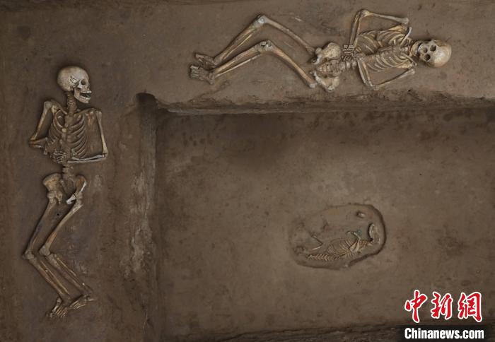 陕西陶渠遗址发现8座“甲”字形大墓 系两周时“京”国所在地