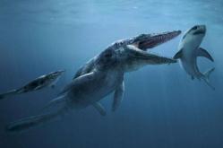比航母还大的史前巨兽，新西兰大鱼龙！