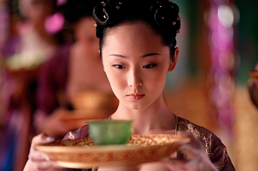 华阳公主为什么要下嫁给比自己老很多的将军?