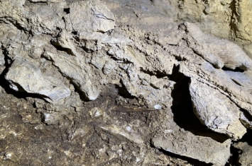 湖南澧阳平原西部山区洞穴遗址调查新发现