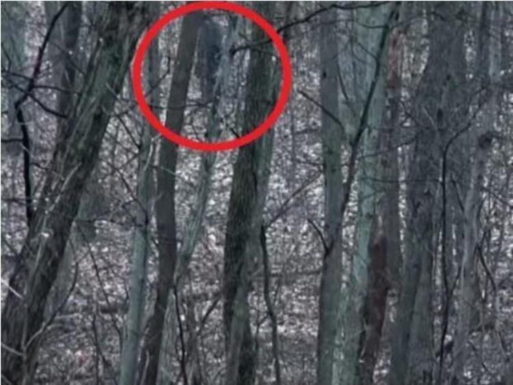 萨斯喀彻特怪兽俄亥俄州公园发现大脚兽两名徒步旅者受惊