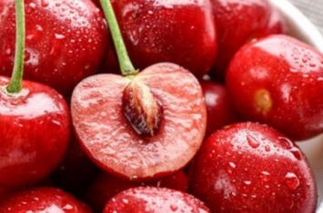 樱桃是热性的还是凉性的?属于温性水果(含铁量居首位)