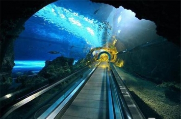 世界上最长的海底沉管隧道：港珠澳大桥海底隧道（建造困难）