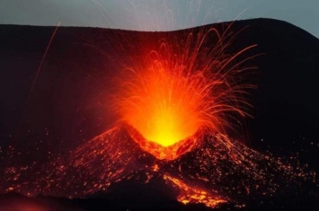 火山底下有没有生物,生活在火山下面的生物