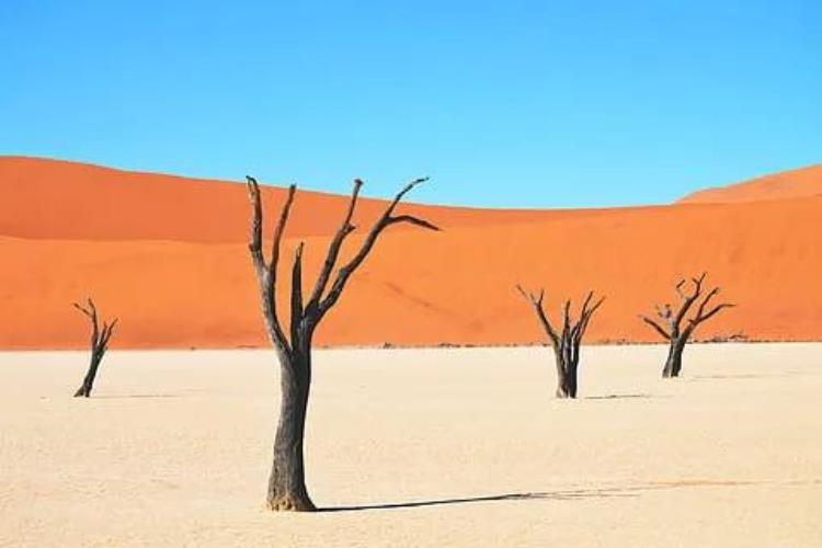 揭开大漠之谜小说,大漠的未解之谜有哪些
