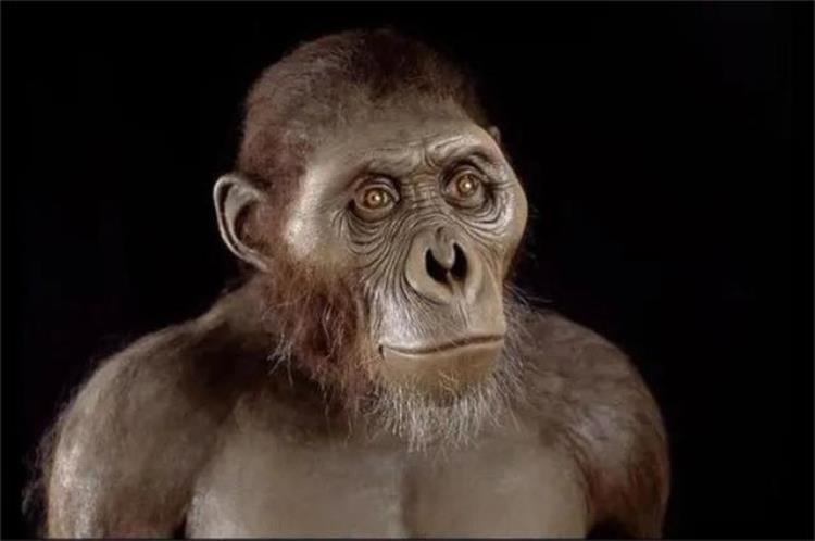 人类始祖起源于非洲,最早期的人类祖先