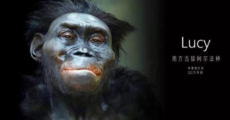 人类始祖起源于非洲,最早期的人类祖先