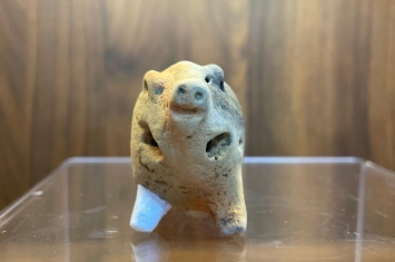 江苏无锡发现6000多年前陶猪