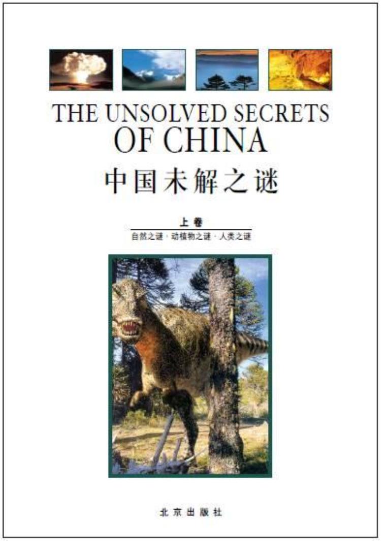 中国文化史上的未解之谜,中国文化上的未解之谜